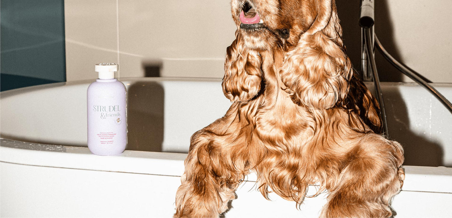 strudel&friends | vyrobeno v české republice