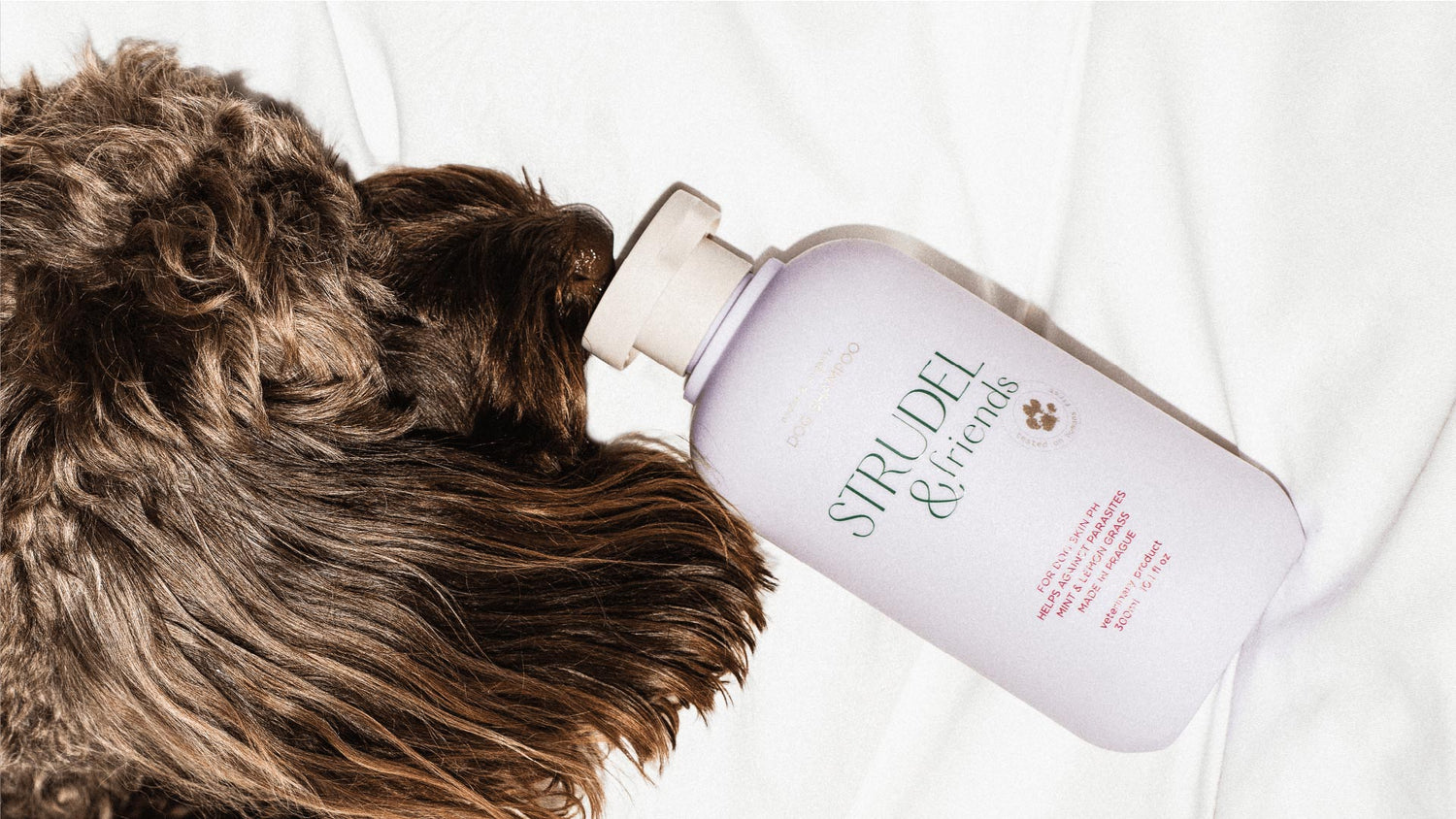 strudel&friends | ingredience