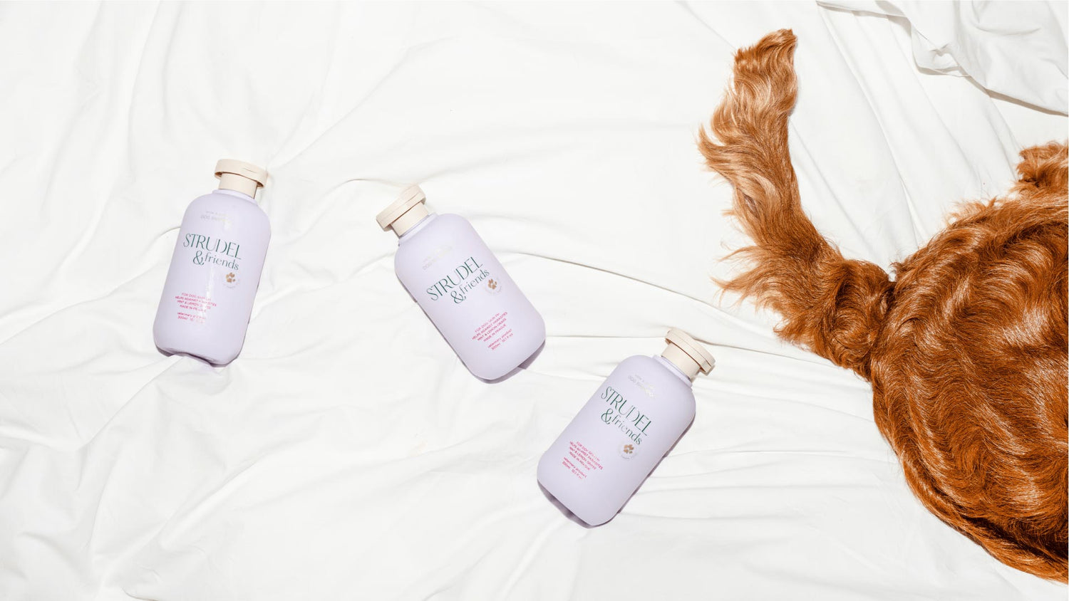 strudel&friends | Dejte nám šanci