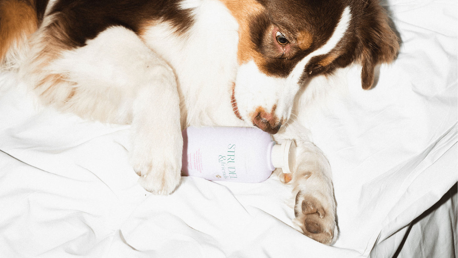 strudel&friends | mint and lemon grass